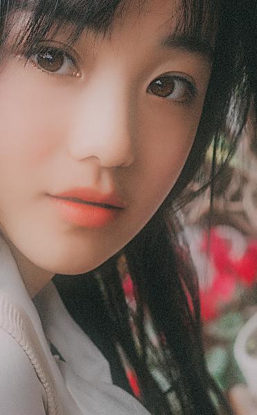 我叫赵甲第2 电视剧